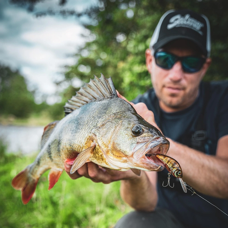 Salmo Rattlin Hornet Floating